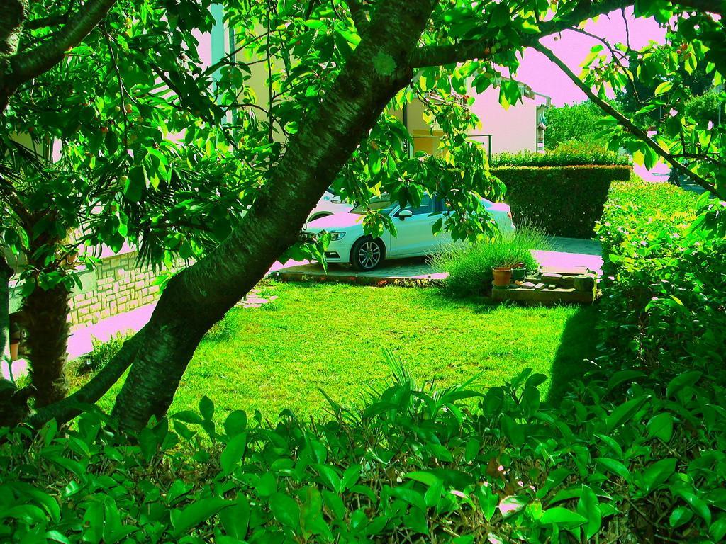 Apartment Jal